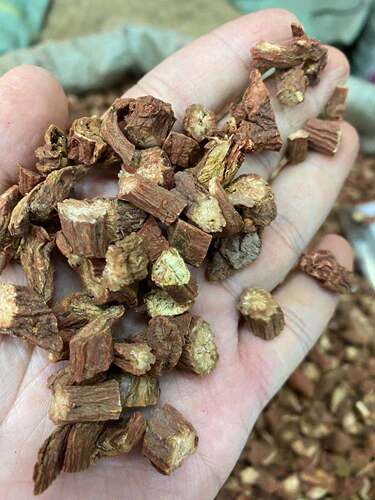 Danshen traditional Chinese medicine 500g, Lian Danshen, Hong Danshen strips, Danshen slices, Danshen powder tea, Danshen planting, wholesale.