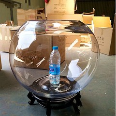 卸売り小型金魚鉢透明球円形水槽水培微景観ガラス花瓶家庭装飾品