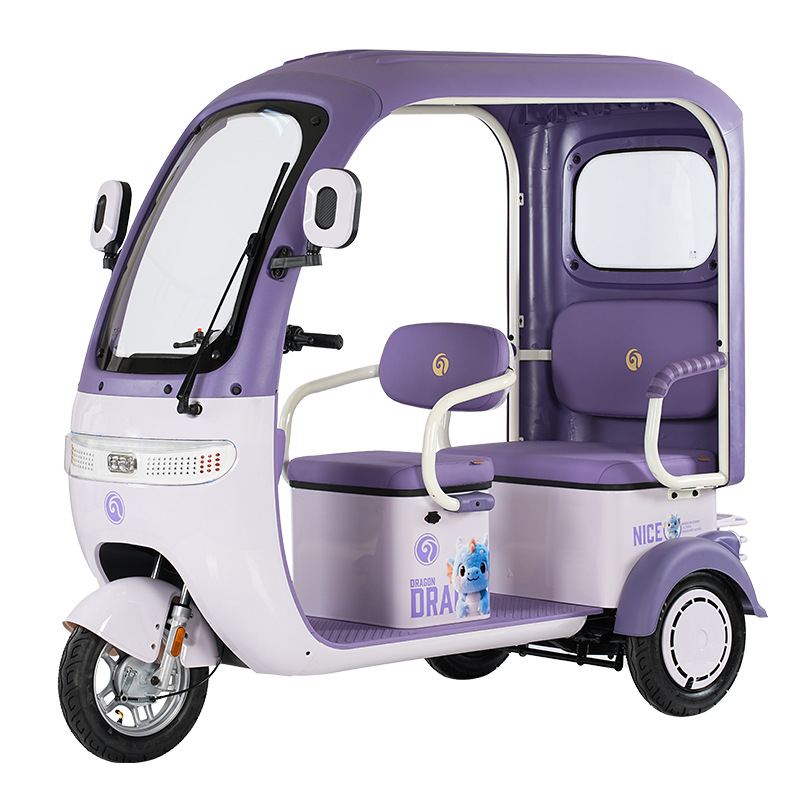 Nuevo triciclo eléctrico estándar nacional de pasajeros y mercancías de doble propósito con cobertizo para recoger a los niños, triciclo eléctrico integral para los ancianos