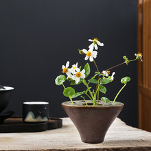 ��ʽ�͹ŸG׃�մɻ�ƿɏ����ɻ�ˮ���������޾Ƶ�ܛ�b�ҾӔ[��