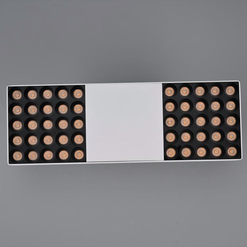 lámpara de guía de placa plana larga LED astigmatismo comercial de ropa de planta crecimiento de planta de siembra directa iluminación de planta lámpara de pista