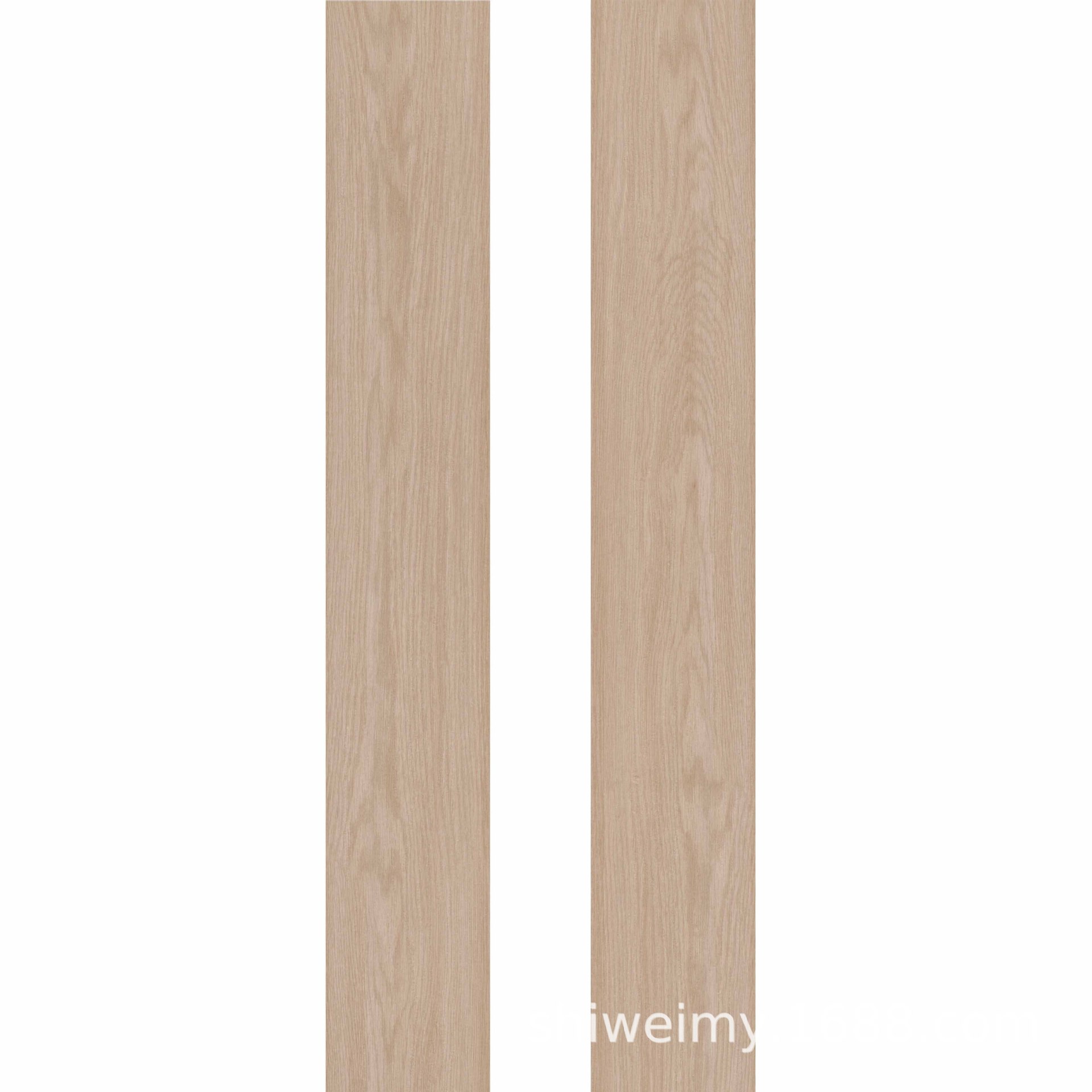 8019