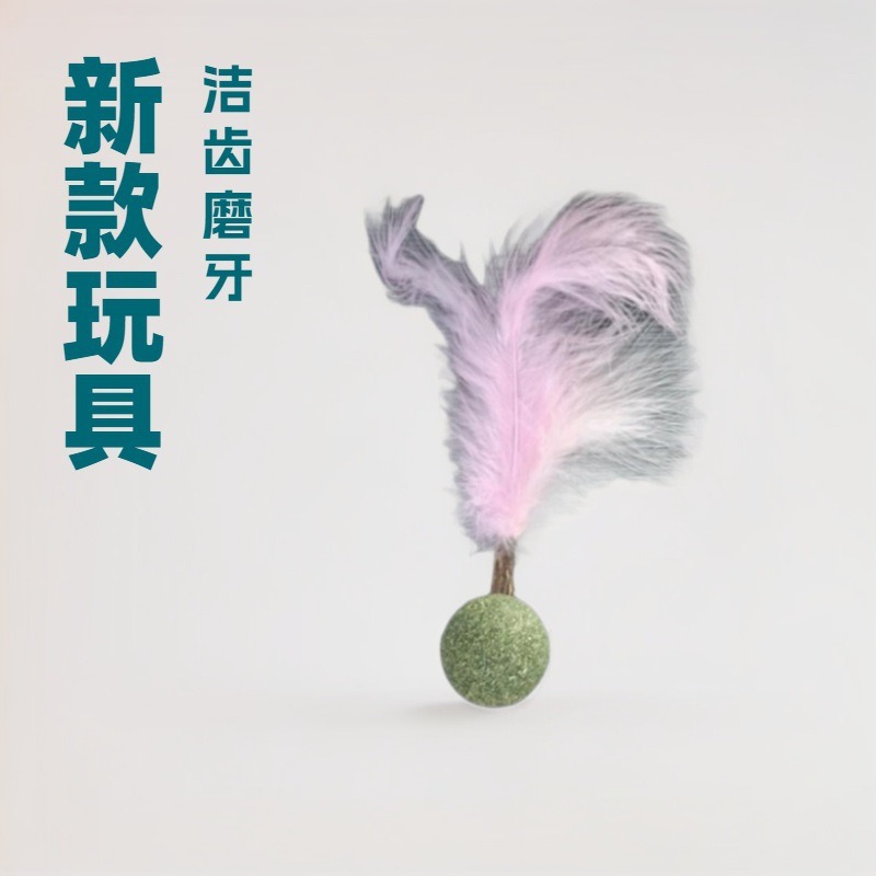 Pluma Bola de menta de gato Juguete de bola de menta Menta de gato