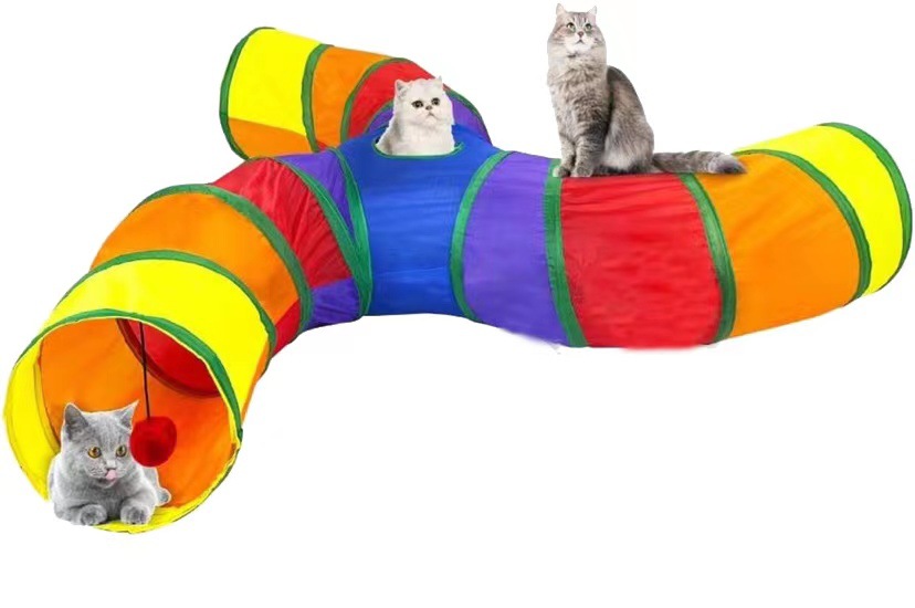 IMG_8589(20220727-160616)