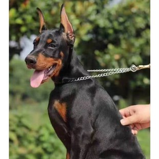 ���e����Ȯ���ﹷ����ë��ϵ���w�o�lȮ��ϵ���eȮ��Ȯ���w�r��