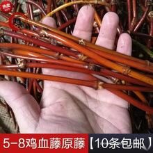 藤条手镯西藏山南野生鸡血藤手镯原藤粗裸戒指演出装饰原材垒德株