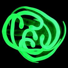 ܛ�z������ҹ��С̖����������ɫ�����׃��@��ͯ��߼��߄���ģ��