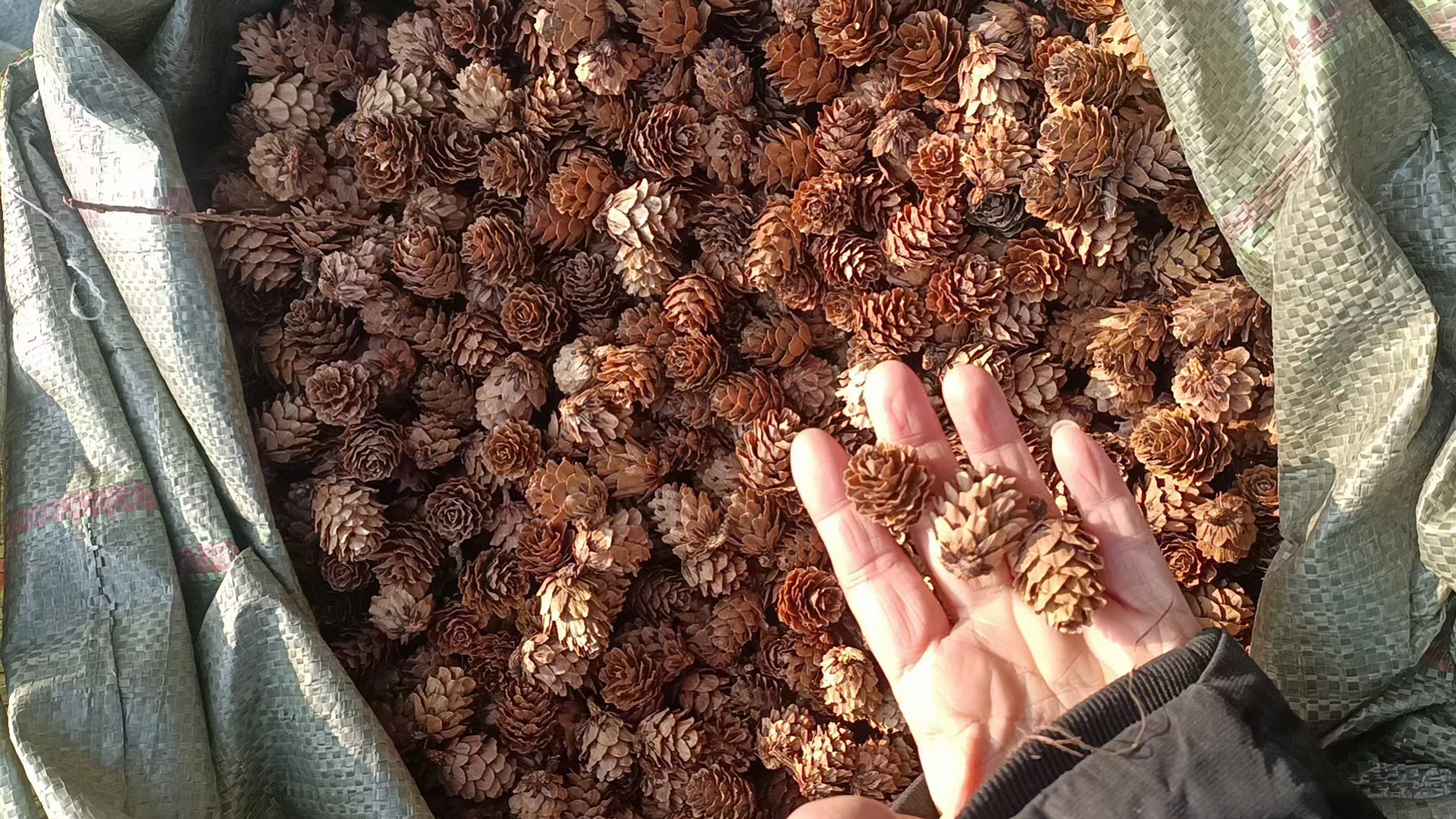 QQ图片20231228120503