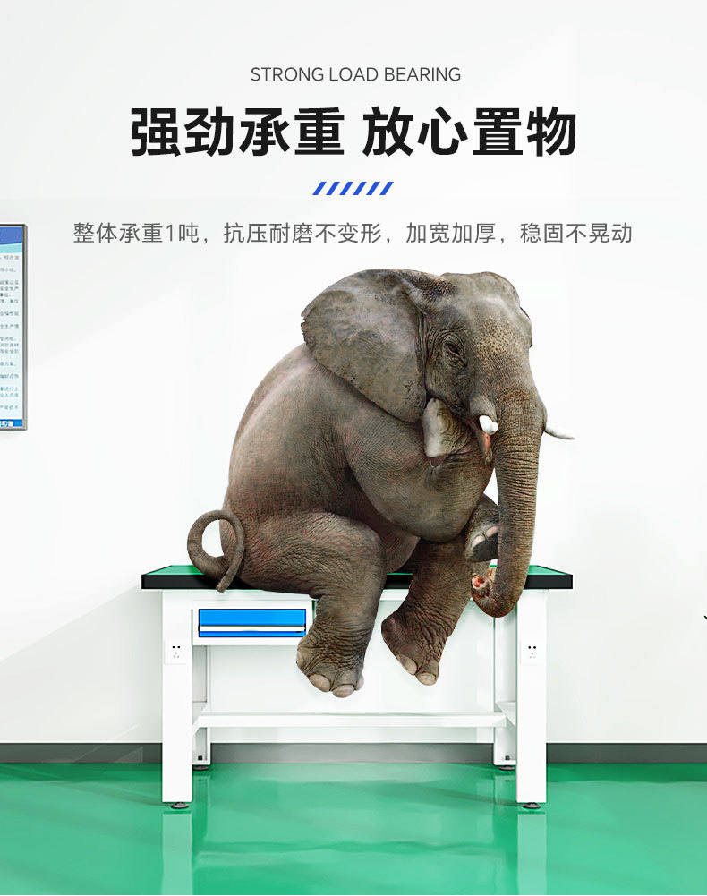 详情8