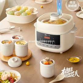 小熊DDZ-J25G2电炖锅隔水炖锅煮粥电炖盅燕窝炖盅炖汤锅配蒸笼5胆