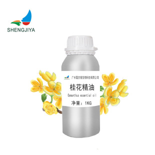 l 𻨾   ֲη  yƷԭ