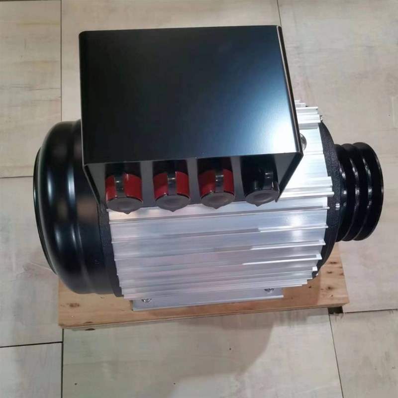 柴油发电机220v小型用380v三相电10kw20kw永磁大功率发电机垒德株