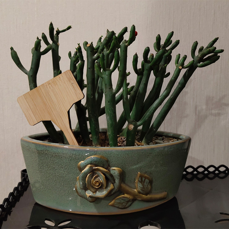 棱角T型植物标签详情页2