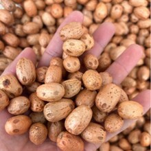 ��ș�����l ԭɫ���۹� ɽ���� ����� �o���� ��ɽ�� ������ͨ