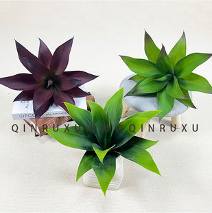 �S��ֱ�N�������ֲ�������m�^ɳ���Gֲ�[���J�C���ԟᎧֲ���辰