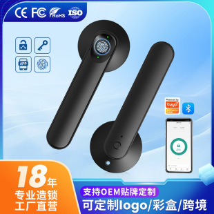 ����ָ�y�{�������i�h�̽��i��耳��҃�ľ�T���I�T�f�����T�i���l