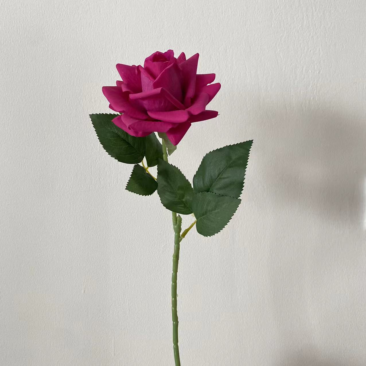 Rosa de cuerno grande con sensación morada
