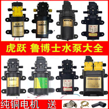 늄Ӈ��F��ˮ�ø߉�С��12V�R�_��Ĥ��늙C�r�ô�ș�C�����ȫ