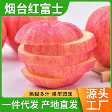 供应链代发水果5斤礼盒装山东红富士苹果批发产地直供烟台苹果脆