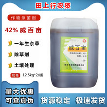 ����S�� ���ٮ�42%��������Ѭ�������������x�������ݐ��