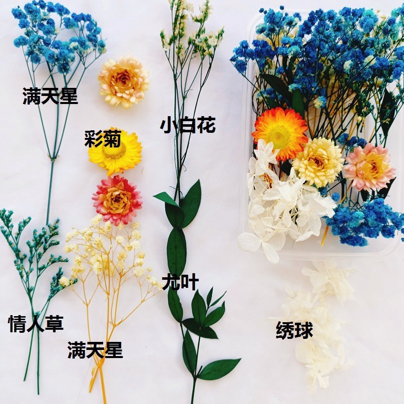 Festival bricolaje hecho a mano material de flor eterna planta flor seca florero flotante aromaterapia flor seca abanico de material paquete al por mayor