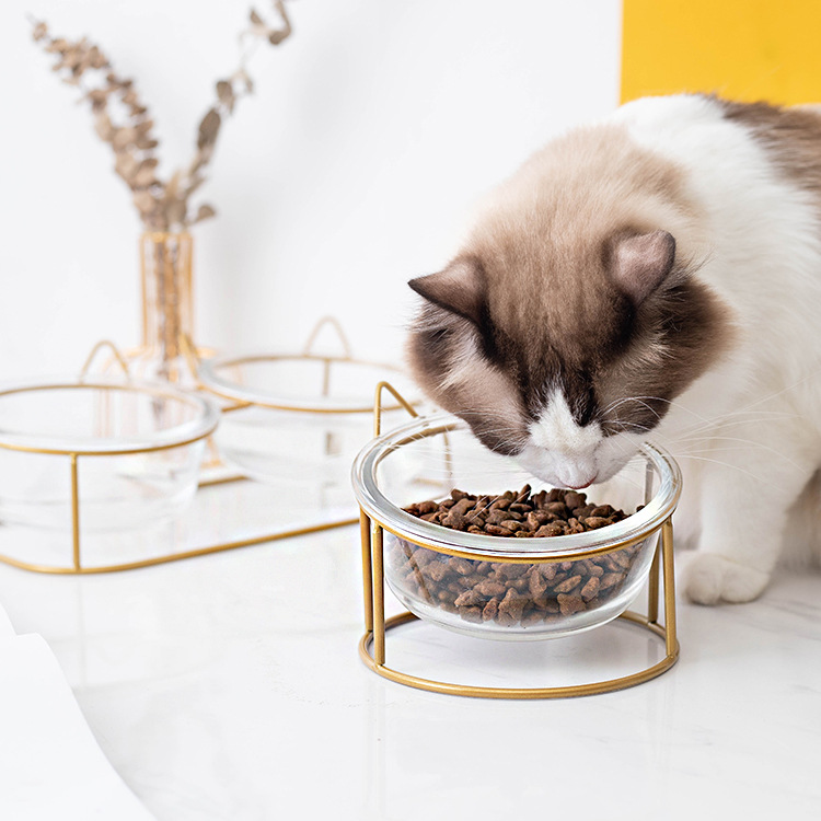 Tazón para gatos tazón de vidrio transparente doble tazón de comida para gatos de gran capacidad tazón de agua antidetonante fácil limpieza saludable oblicua protección del cuello fabricante