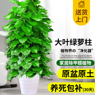 ���~�G�}�����Կ͏d���;Gֲ�k���҃ȳ���ȩ�����՚��·����B�G�j