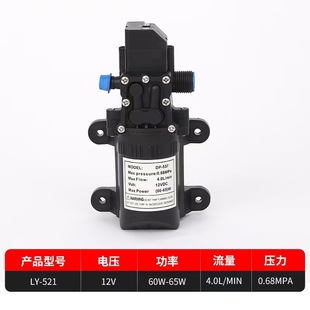 Car washer high-power water pump 12v high-pressure car washer electric diaphragm pump electric sprayer accessories wholesale
