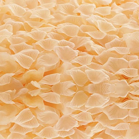 Champagne (about 100 slices)