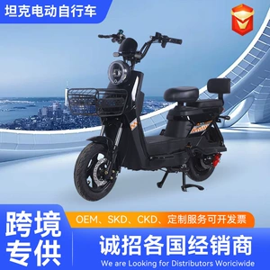 Şəhər Skuteri, Yetkin Elektrikli Skuterlər, Elektrikli Motosikletlər