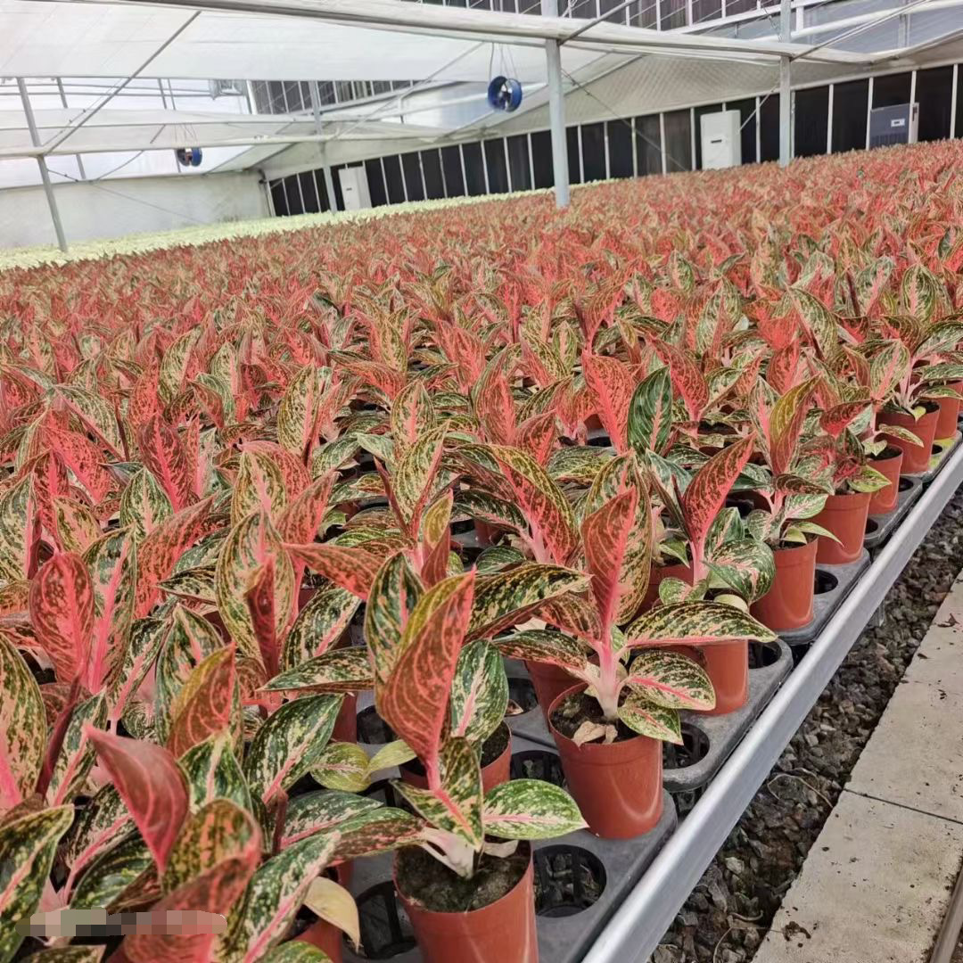 QQ图片20230526145848