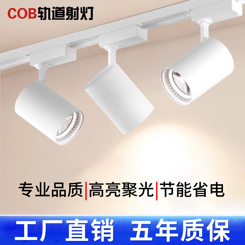 Track Spotlight Cob Rail Light Surface-Mounted Slide Rail 30W Clothing Store Commercial Background Wall Exhibition Hall Led Track Light