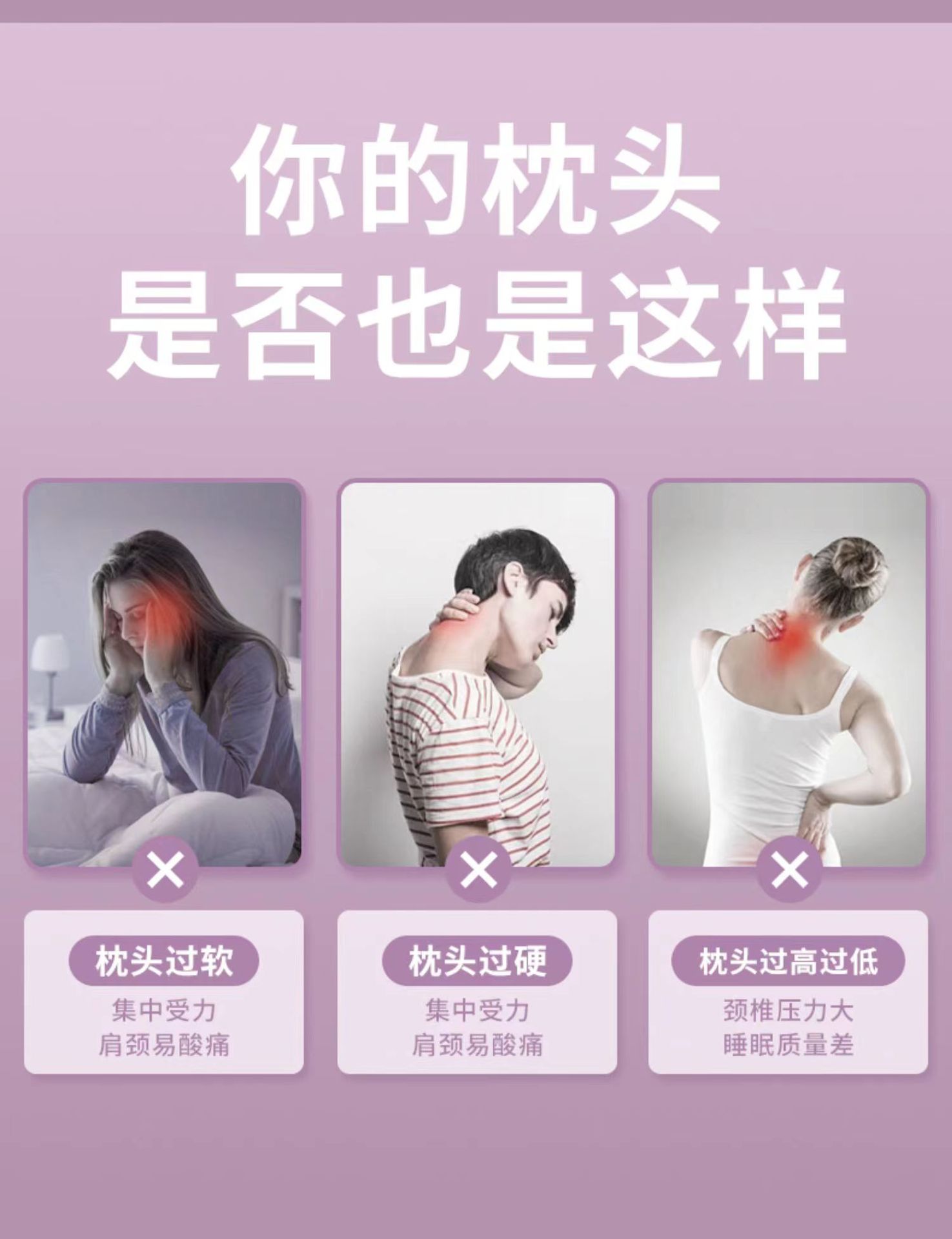 蚕丝枕2.jpg