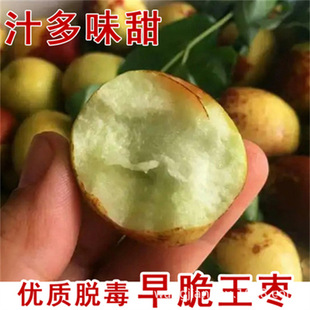 ������ʹڗ�����޽ӹ������ϱ������Ե���ͥԺ�Nֲմ����z����