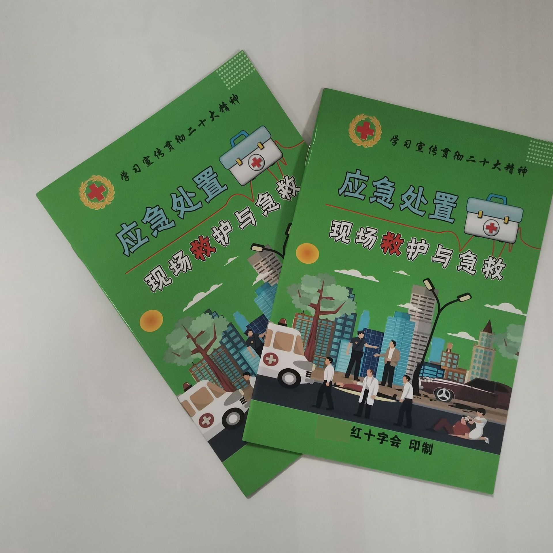 公卫宣传红十字会宣传手册公共场所卫生监督宣传手册印刷