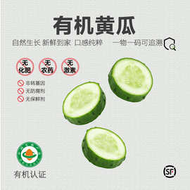 有机刺黄瓜 有机认证无农残 现摘现发新鲜蔬菜天然黄瓜炒菜