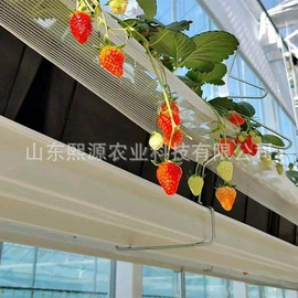 花盆容器;温室、大棚;农用橡胶制品