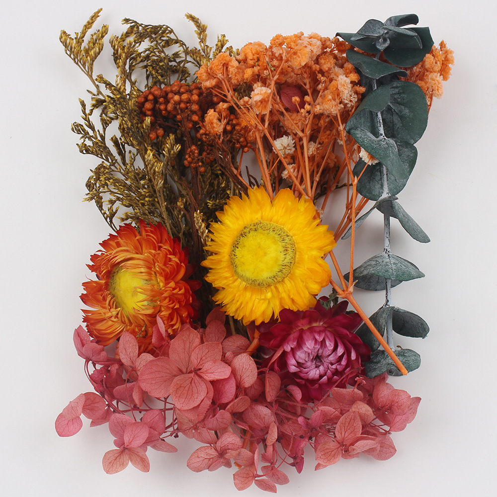 Flores secas preservadas hechas a mano, marco de fotos DIY, decoración mixta, materiales de aromaterapia, flores naturales, ramo de regalo para boda, San Valentín