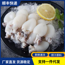 新鲜冷冻墨鱼仔鲜活去皮去内脏速冻墨鱼迷你乌贼商用海鲜水产批发