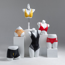 内衣模特展示架男女半身聚拢文胸内裤模特架假人体拍摄道具胸模