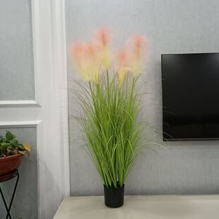 ����Gֲ�쾰�JȔ�������̈����^���÷�����β�ͽ��䙻�����[�[��