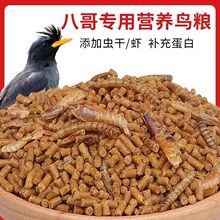 �˸�����B����Bʳ����x���˺ڰ�������ό��àI�B�B�Z1��ͨ��