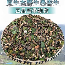 广西野生桑寄生500g包邮广西深山桑寄生茶可和杜仲茶搭配泡茶