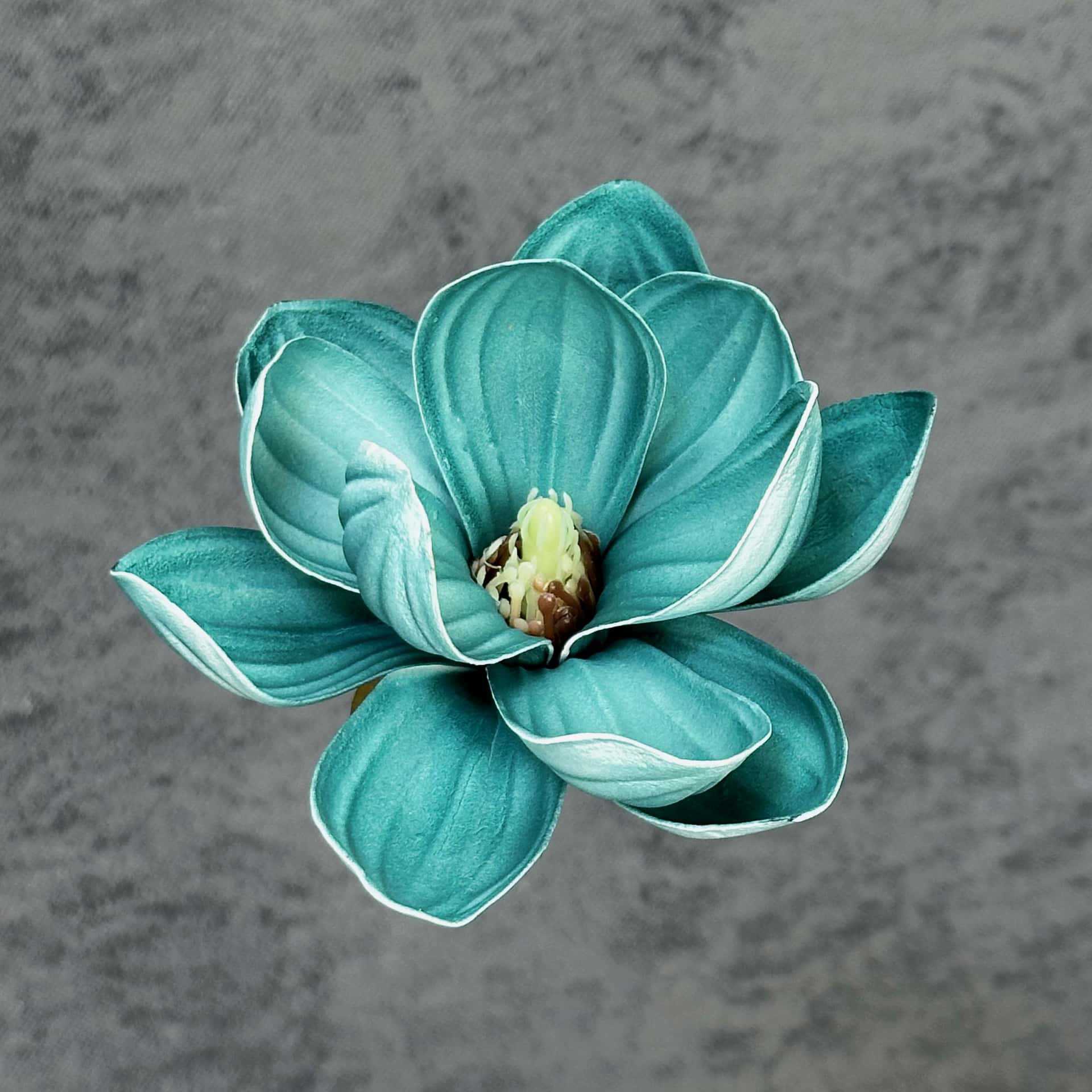 Flor de simulación transfronteriza EVA cabeza de magnolia 13cm tacto tocado kapok decoración decoración decoración flor falsa al por mayor