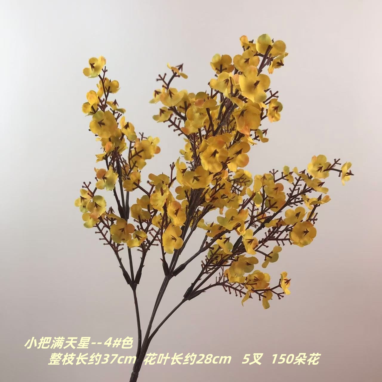 작은 안개꽃 4#색깔