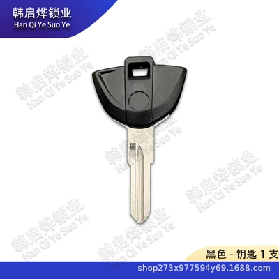 Bmw Motorcycle Key C600: Motorcycle Key