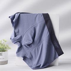 Magnetic 60 pairs Lan Jing Modal Men's Underwear Men's Graphene Antibacterial Straight Leg Pants Invisible High-End Bottoms Wholesale