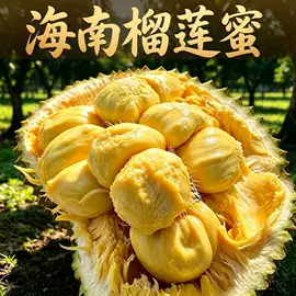 其他干货;其他水果;其他方便食品