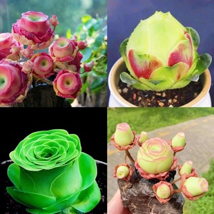 ����M��Ⱥ��õ��ˮ���ҾƱ�ɽ��õ����^���ֵ�҃��k���Һ��B