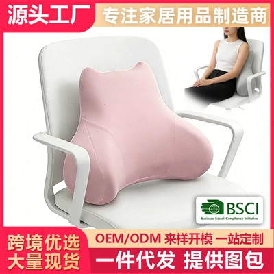 Back Cushion Waist Protection Waist | Waist support